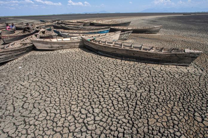 Todos Unidos Contra el Calentamiento Global