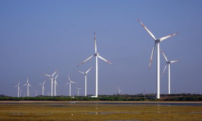 El gran potencial de la energía eólica en México