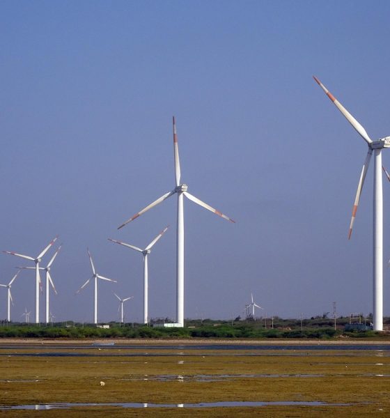 El gran potencial de la energía eólica en México