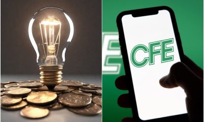 Ingresos de la CFE en 2025