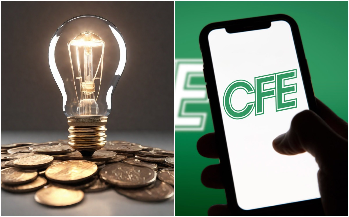 Ingresos de la CFE en 2025