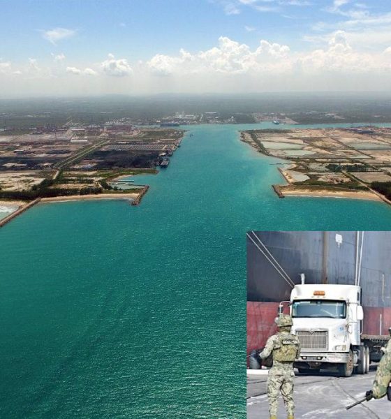 ASF advirtió de fallas en los puertos