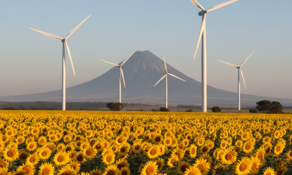 Auge en Tamaulipas por energías renovables