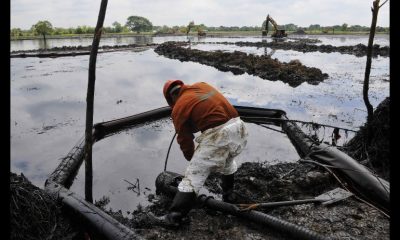 Derrame hidrocarburos Golfo México: Oceana exige acción