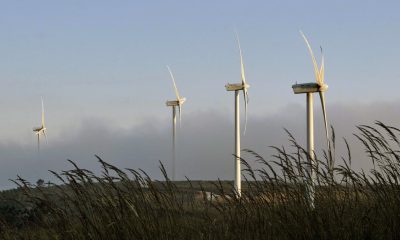 Transición energética España: Lecciones para México