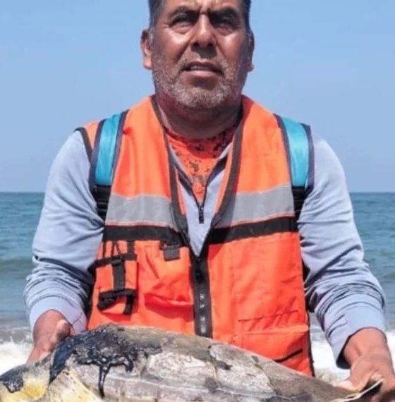 Juez ordena a Profepa frenar daños por derrame