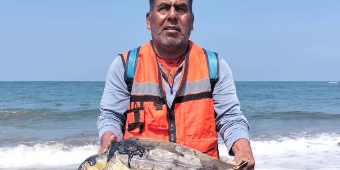 Juez ordena a Profepa frenar daños por derrame