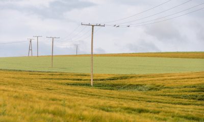 CFECapital plantea emisión de bonos en mercados