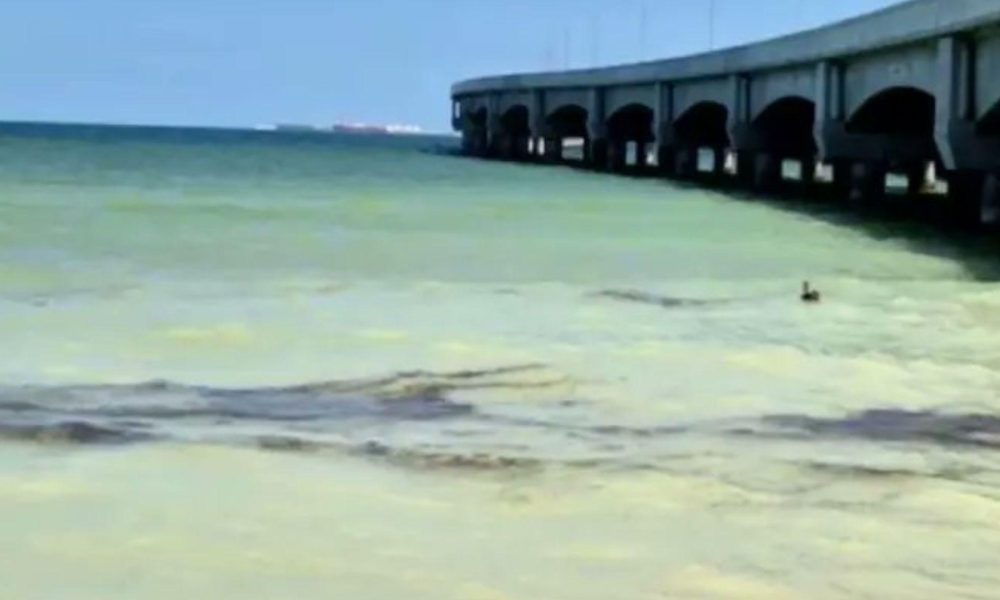 Fuga Pemex Progreso: Sellada en Yucatán