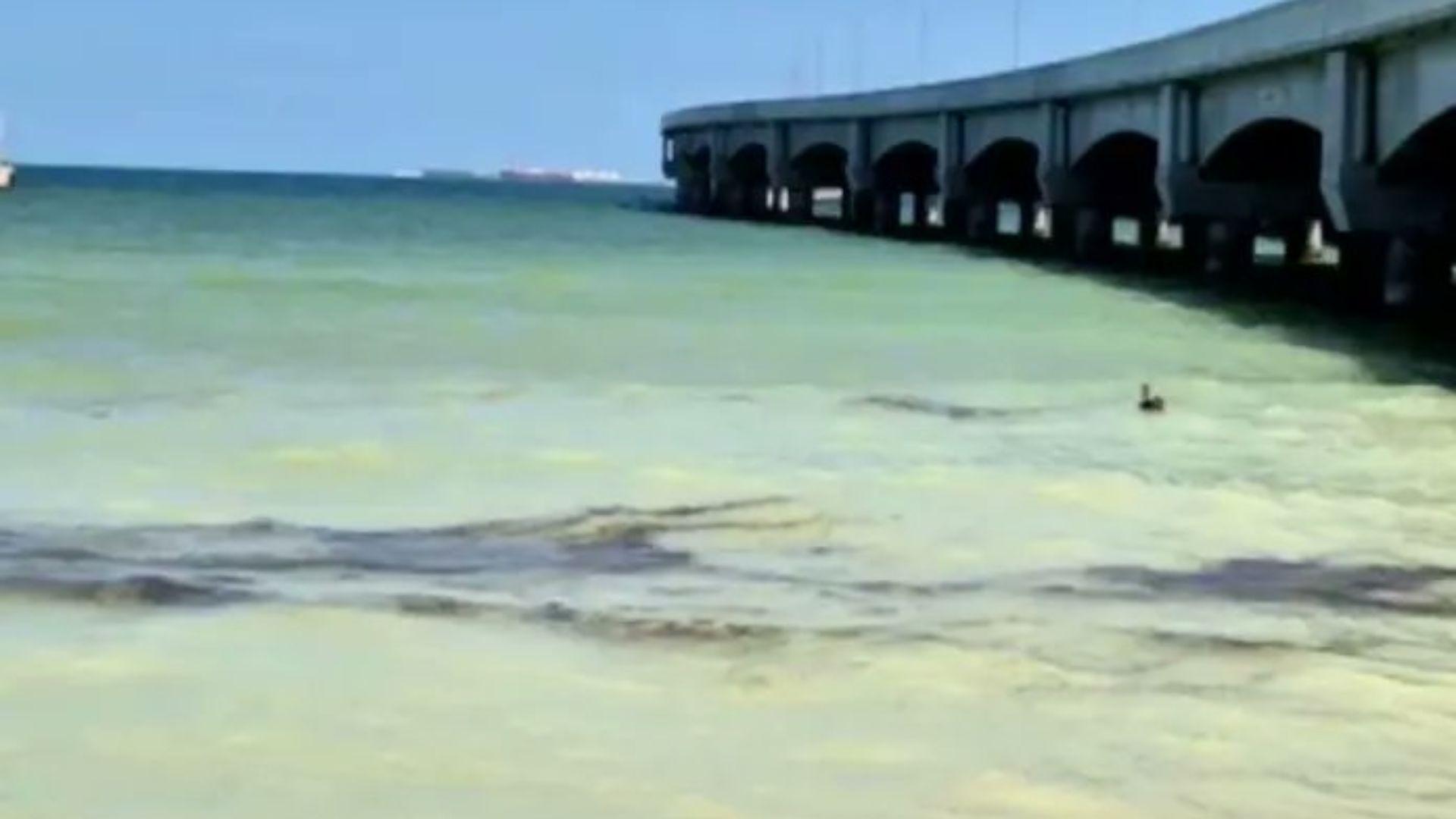 Fuga Pemex Progreso: Sellada en Yucatán