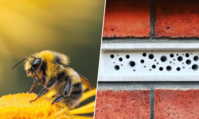 Irán propone reabrir Ormuz a EE.UU. por fin del bloqueo