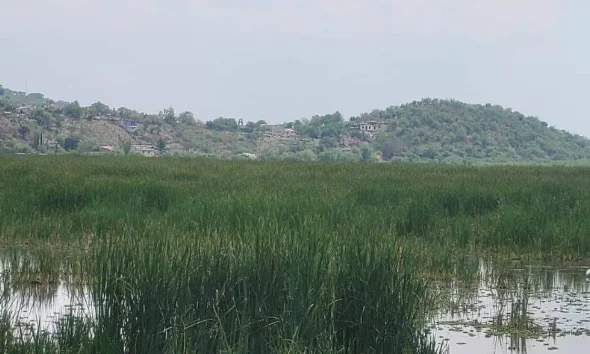 Incendio de tule Acámbaro: Fue en Michoacán