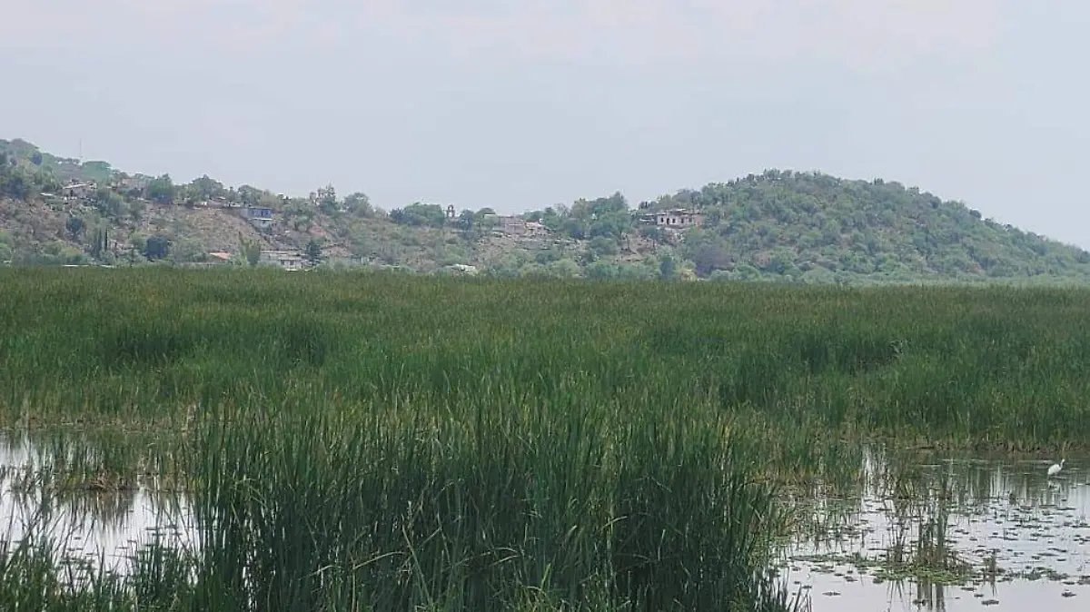 Incendio de tule Acámbaro: Fue en Michoacán