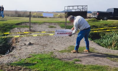 PROFEPA realiza clausuras en áreas protegidas del Edomex