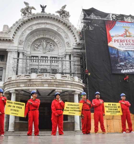 Greenpeace se manifiesta en Bellas Artes
