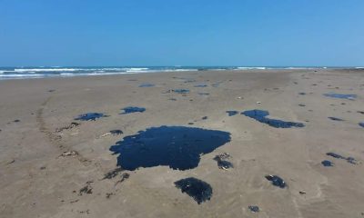Greenpeace denuncia a Pemex por derrame en el Golfo