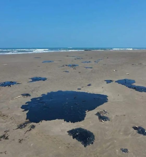 Greenpeace denuncia a Pemex por derrame en el Golfo