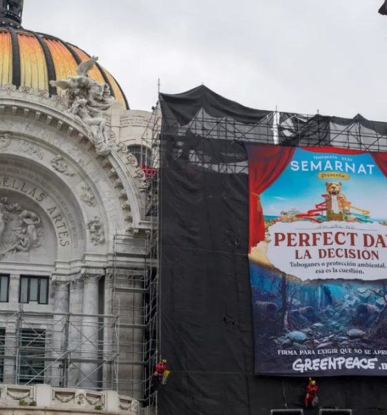 Perfect Day México no será aprobado por Semarnat