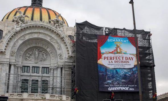 Perfect Day México no será aprobado por Semarnat