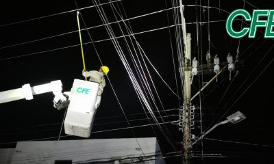 CFE niega crisis eléctrica: apagones por clima y fauna