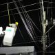 CFE niega crisis eléctrica: apagones por clima y fauna