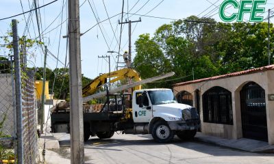 Apagones en México: CFE niega crisis pese a reportes