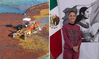 Sargazo en Quintana Roo 2026: inversión histórica y biogás