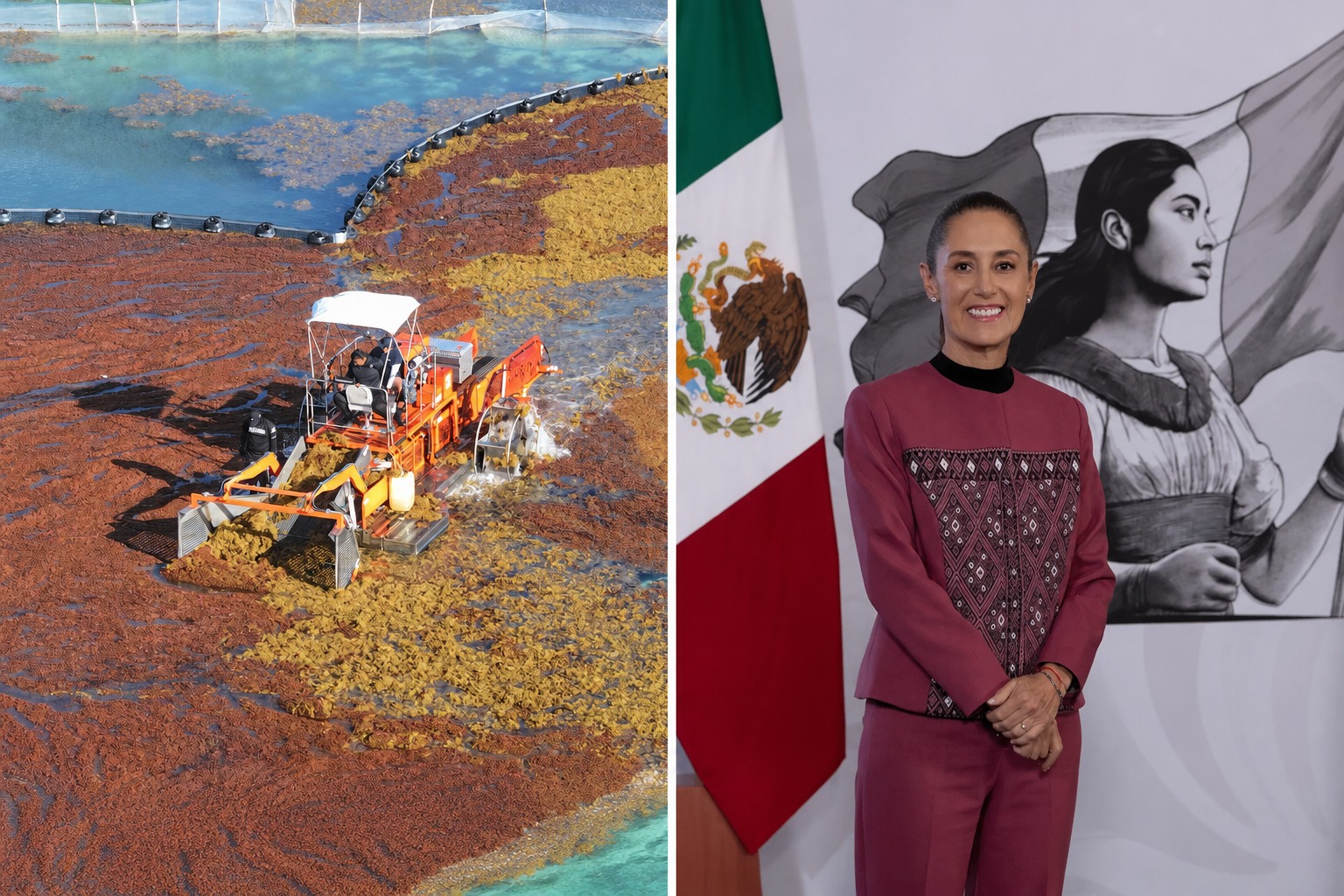 Sargazo en Quintana Roo 2026: inversión histórica y biogás